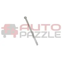 Болт крепления вакуумного цилиндра Chery